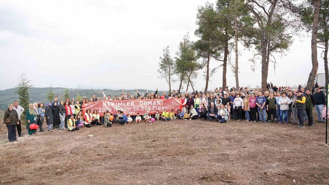 Hekimler Ormanı: 2 Bin Hekim 24 Bin Fidanla Geleceğe Nefes