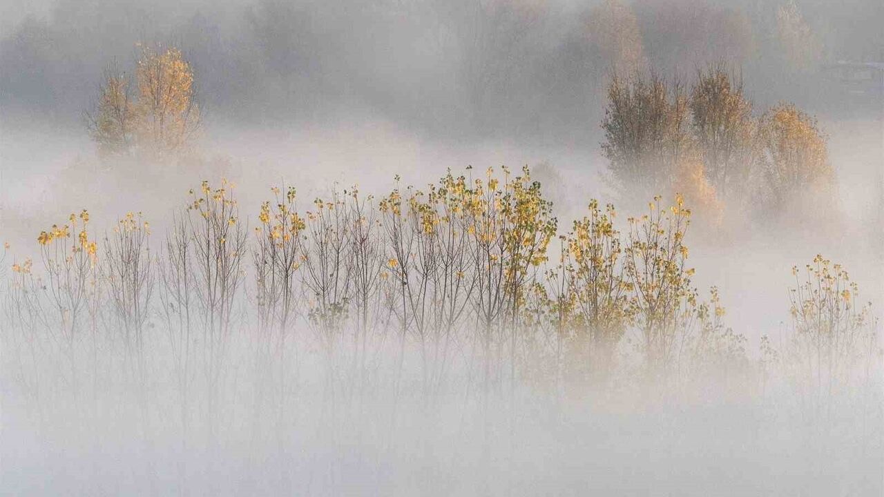 Hevsel Bahçeleri'nde Sonbahar Sisi: Diyarbakır'da Kartpostallık Manzaralar