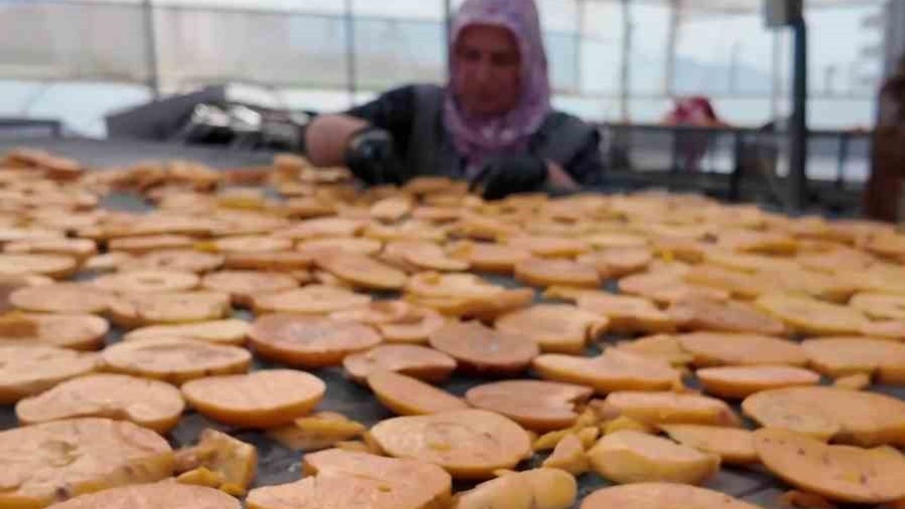 Honaz'da Cennet Hurması Cipsi Sofralara Taşınıyor