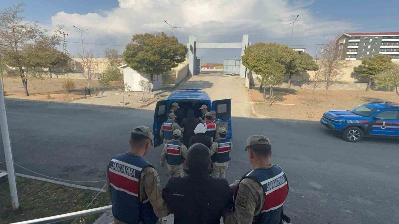 Horasan'da Kaçak Kazı Operasyonu: Jandarma 4 Kişiyi Yakaladı