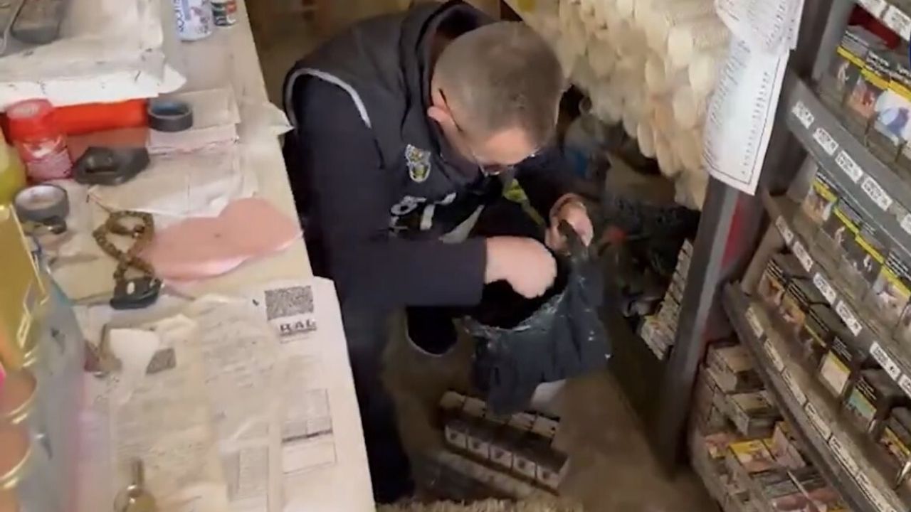 Iğdır'da Şok Uygulama: 849 Paket Kaçak Sigara ve Uyuşturucu Ele Geçirildi