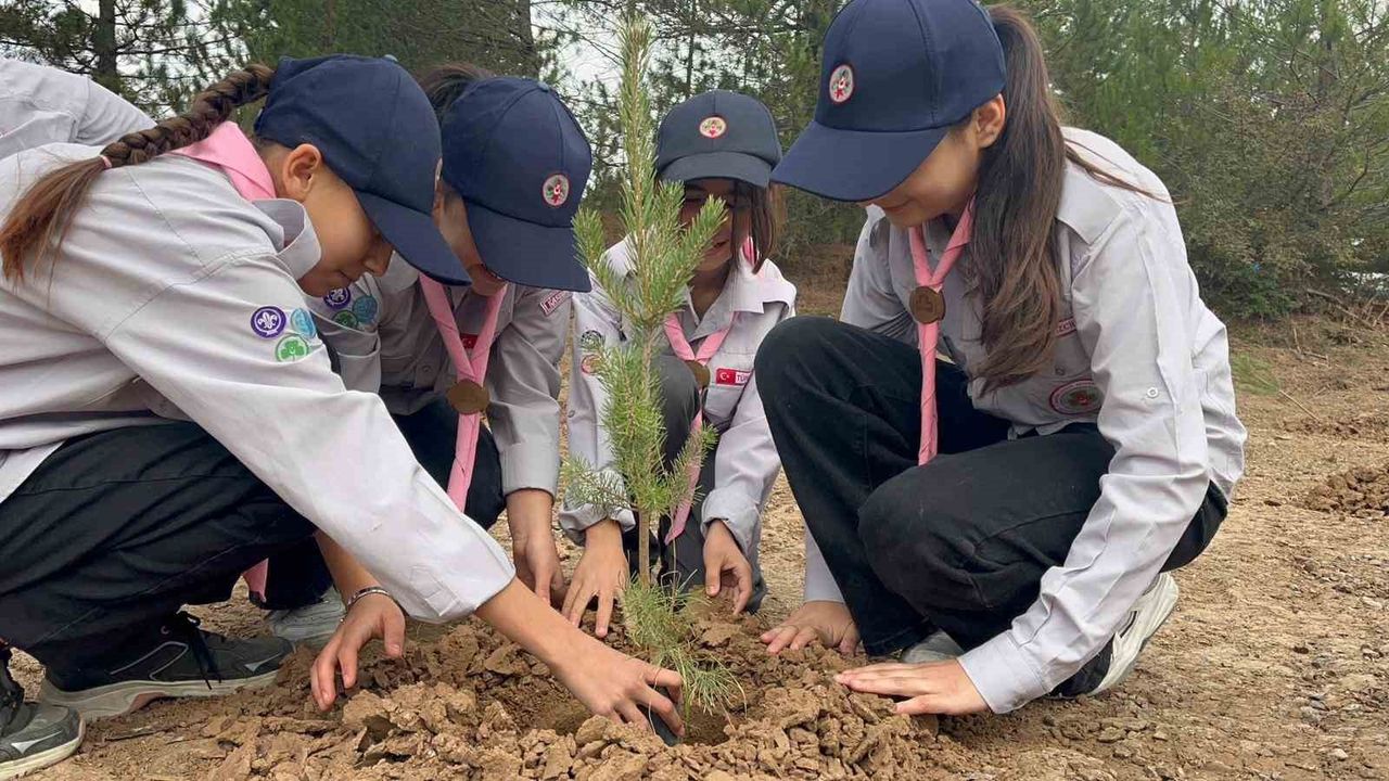 İhsangazi'de 11 Kasım Milli Ağaçlandırma Günü'nde Yüzlerce Fidan Toprakla Buluştu