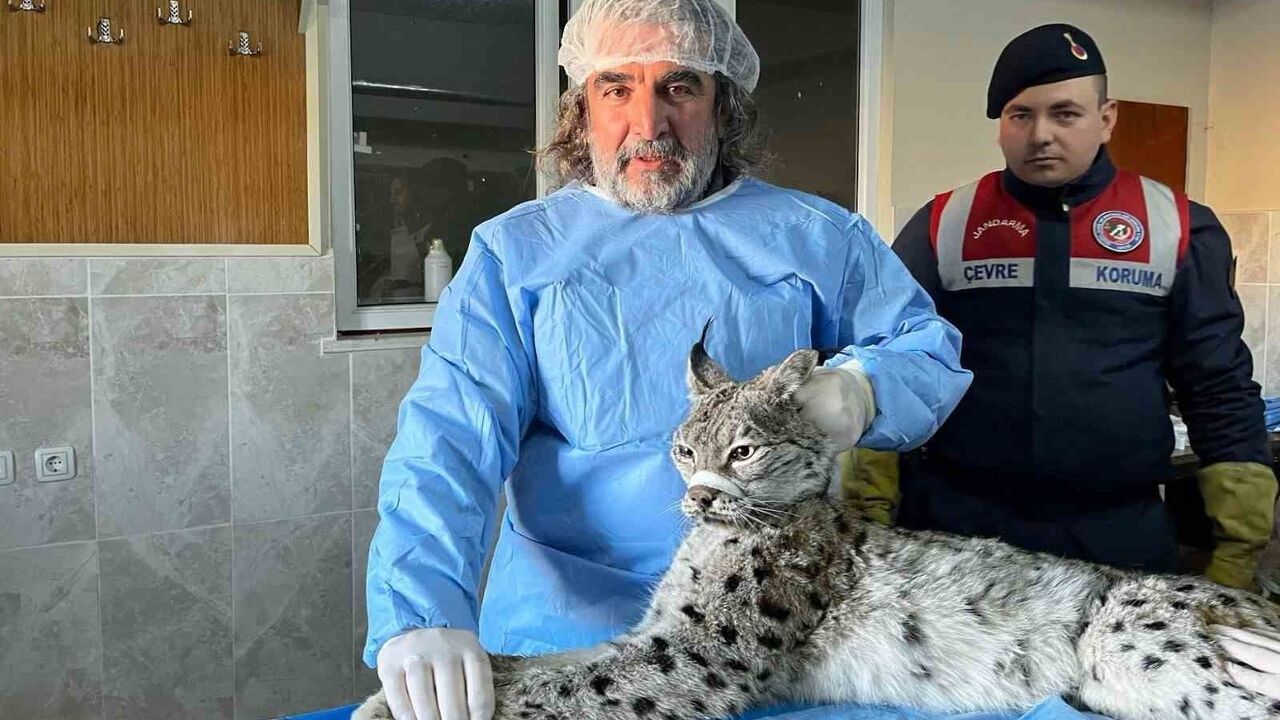 İnsan-Yaban Hayvanı Teması Biyogüvenlik Riskini Artırıyor — Prof. Dr. Lokman Aslan