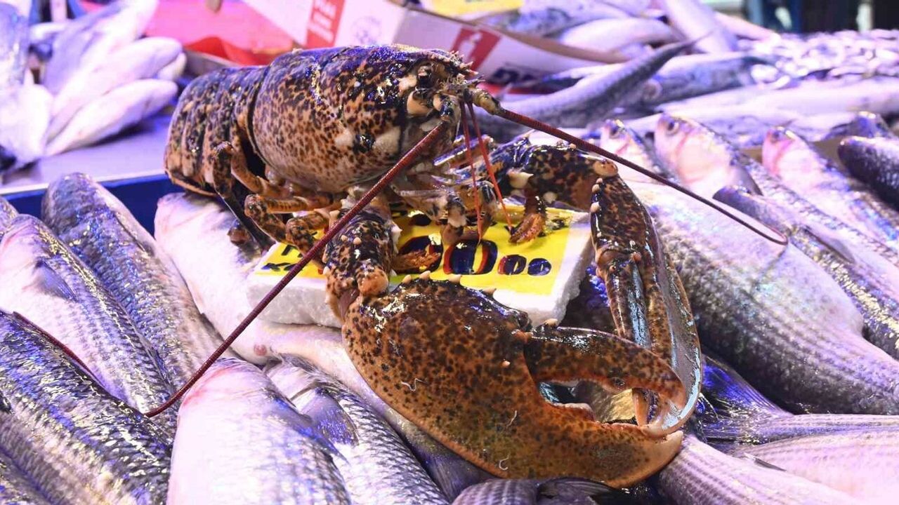 İskenderun’dan Eskişehir’e Yılan Balığı: Restoranların ve Özel Müşterilerin Tercihi