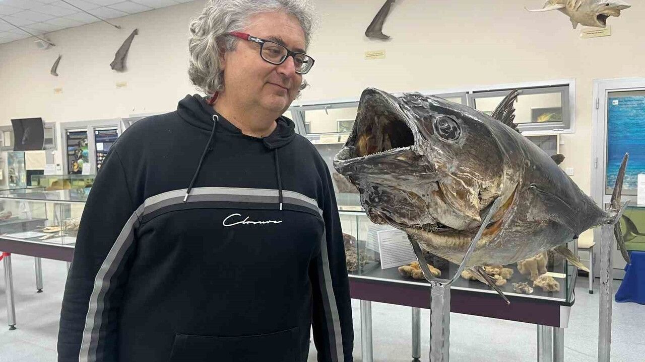 İzmir Katip Çelebi Üniversitesi Deniz Canlıları Koleksiyon Merkezi: 400’ü Aşkın Tür Tahnitle Sergileniyor