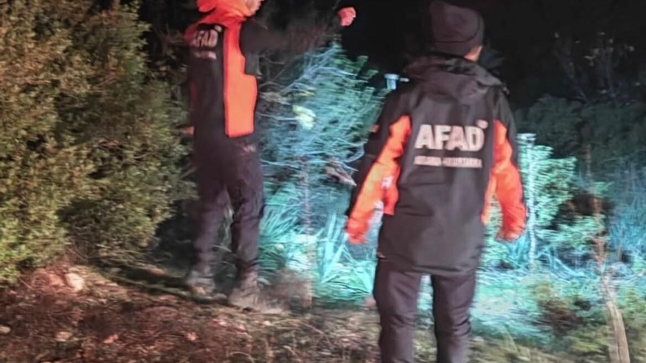 İzmir Menderes'te Mantar İçin Girdiği Ormanda Kaybolan Vatandaş AFAD Tarafından Sağ Bulundu