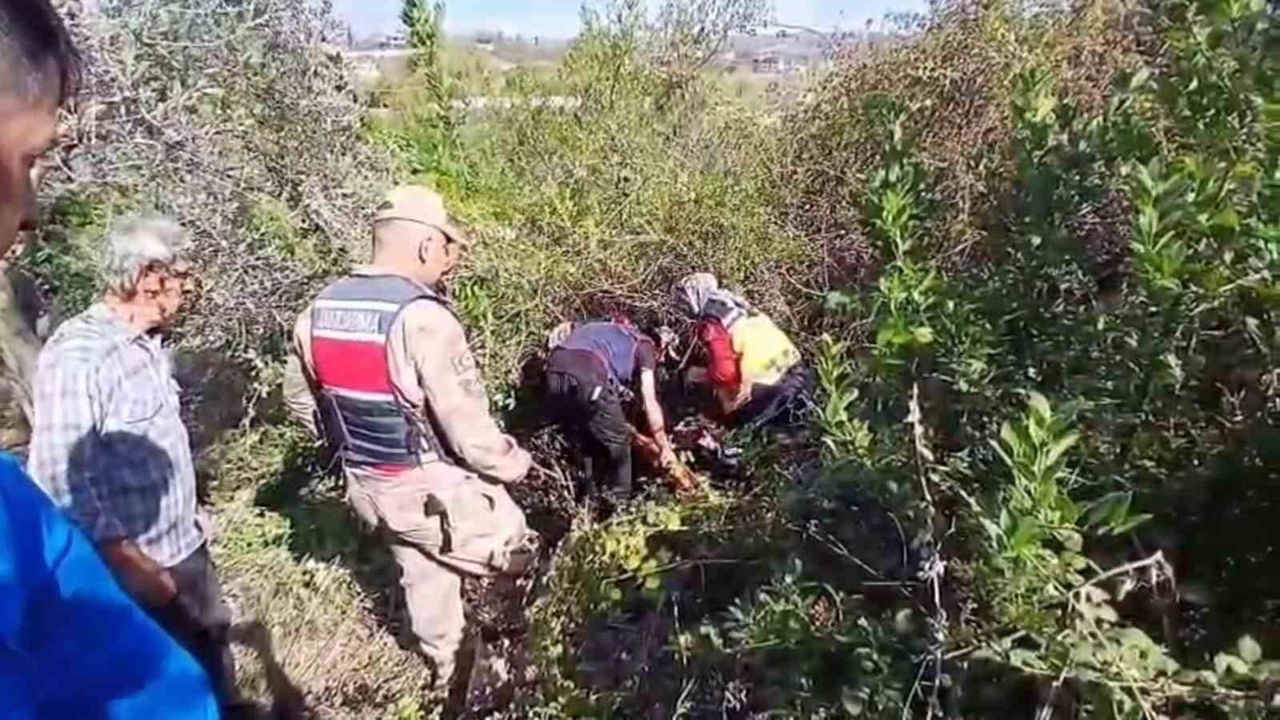 Jandarma Hatay'da Kaybolan 75 Yaşındaki Görme Engelli Adamı Zeytinlikte Buldu