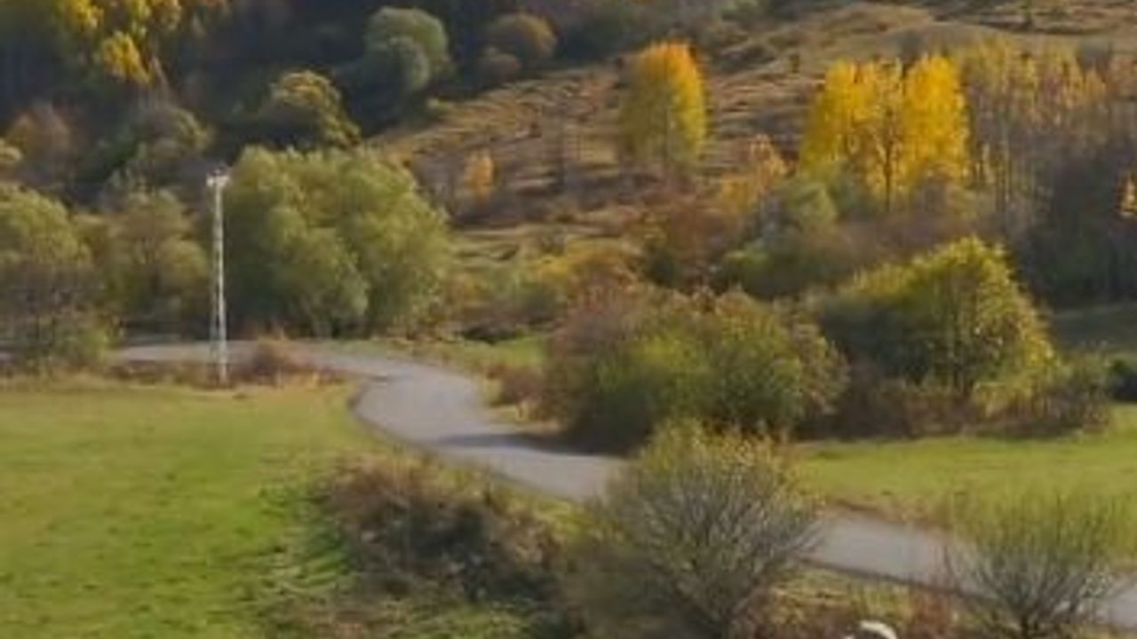 Jandarma Paylaştı: Ardahan Posof'ta Sonbahar Dron Görüntüleri