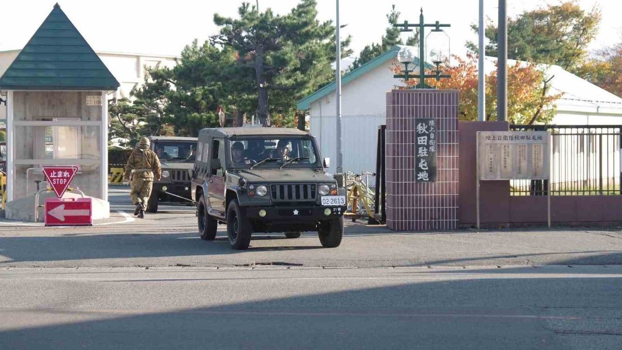 Japonya'da Rekor Ayı Saldırıları: Akita'ya SDF Sevkiyatı