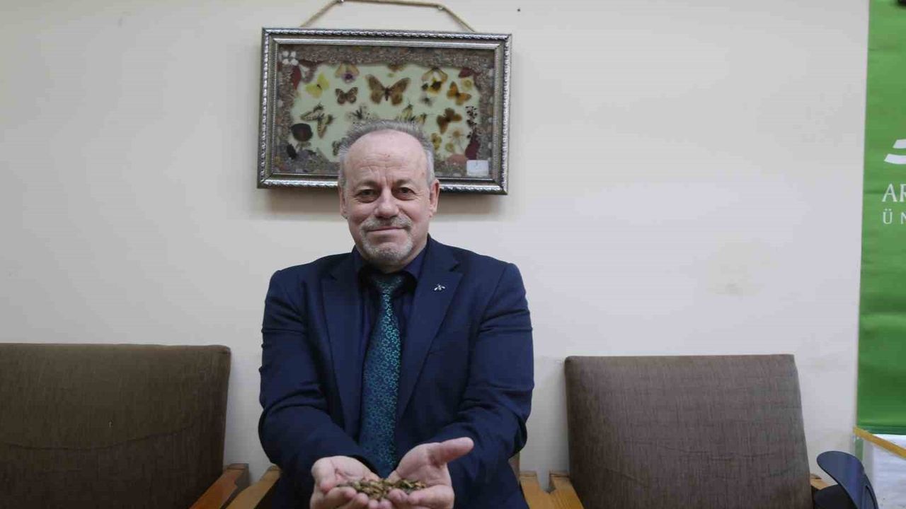 Kahverengi Kokarca Marmara'ya Ulaştı: Bursa ve Yalova’da Tarım Alarmı