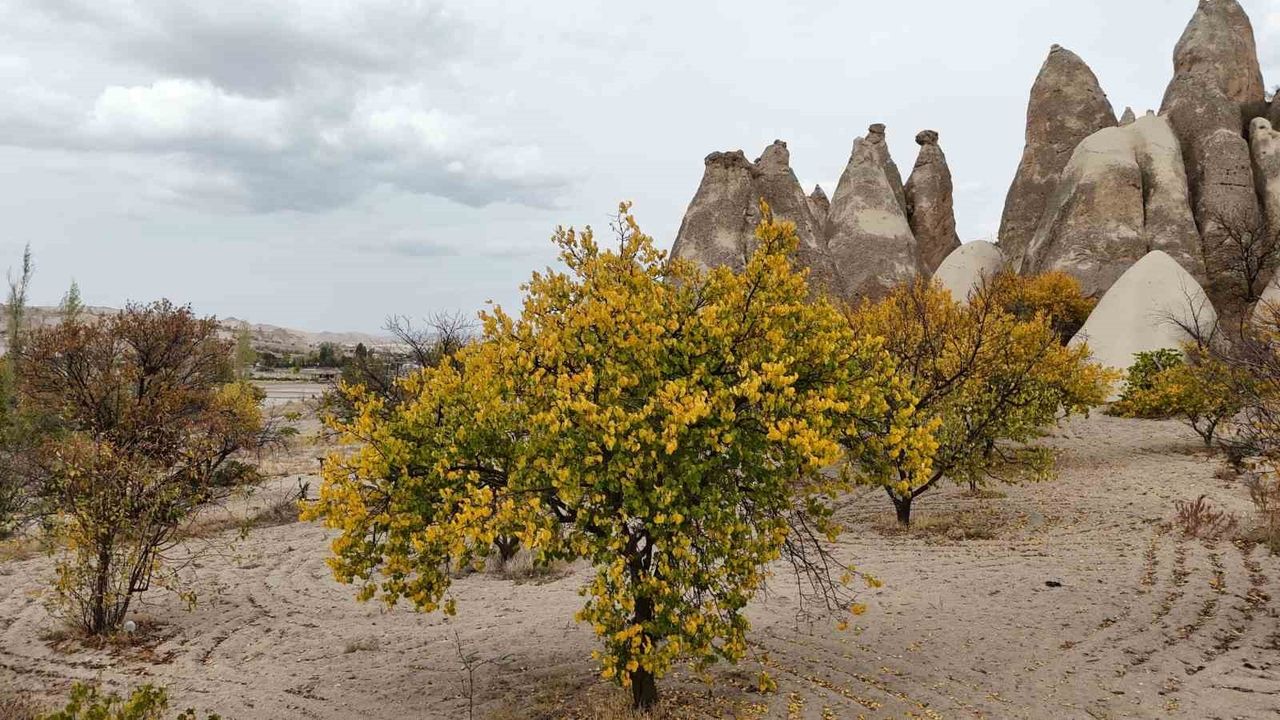 Kapadokya'da Sonbahar Renk Cümbüşü Drone ile Görüntülendi