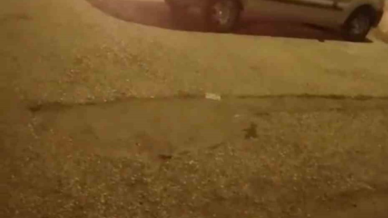 Karabük'te Park Halindeki Otomobil Alevlere Teslim Oldu