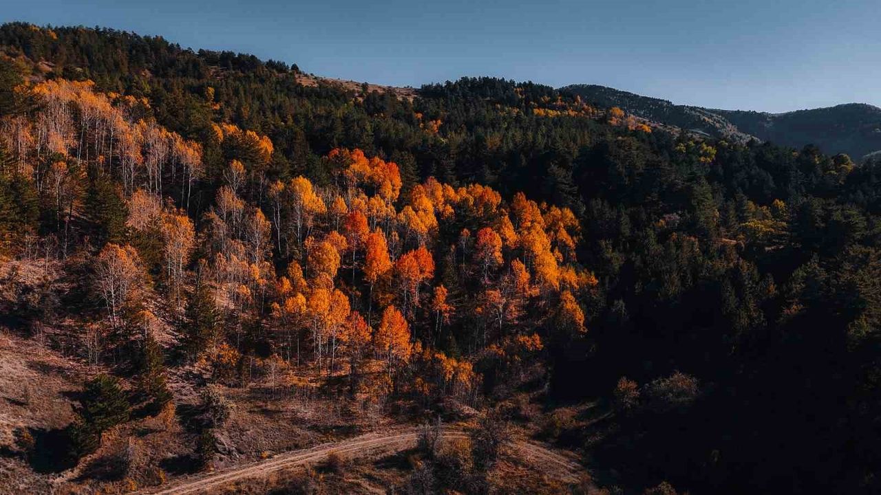 Karagöl Tabiat Parkı'nda Sonbahar Renkleri — Ankara Çubuk'ta Görsel Şölen