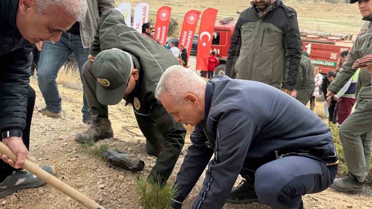 Karaman'da 20 Şehit İçin 50 Bin Fidan Dikildi: Vali Çiçekli 400 Bin Hedefini Açıkladı