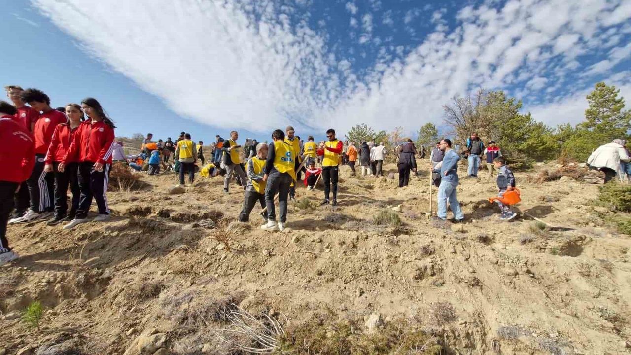 Karaman'da Milli Ağaçlandırma Günü: 5 Bin Çam Fida…