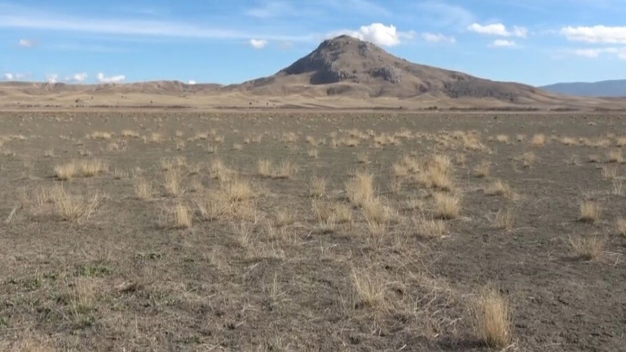 Karataş Gölü Kurudu: Burdur'da 122 Kuş Türü ve 12 Balık Türü Tehlikede