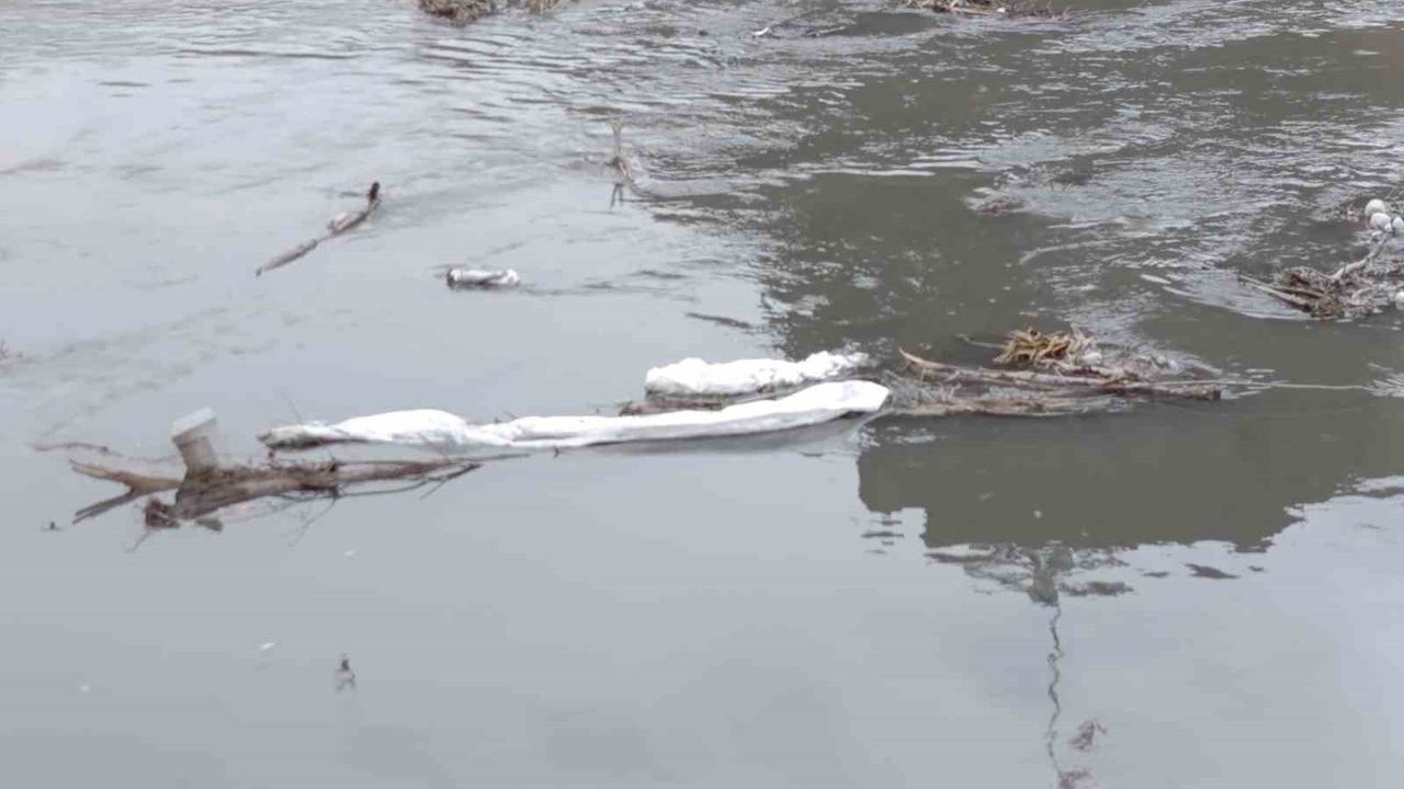 Kars Çayı Alarm Veriyor: Plastik ve Evsel Atıklar …