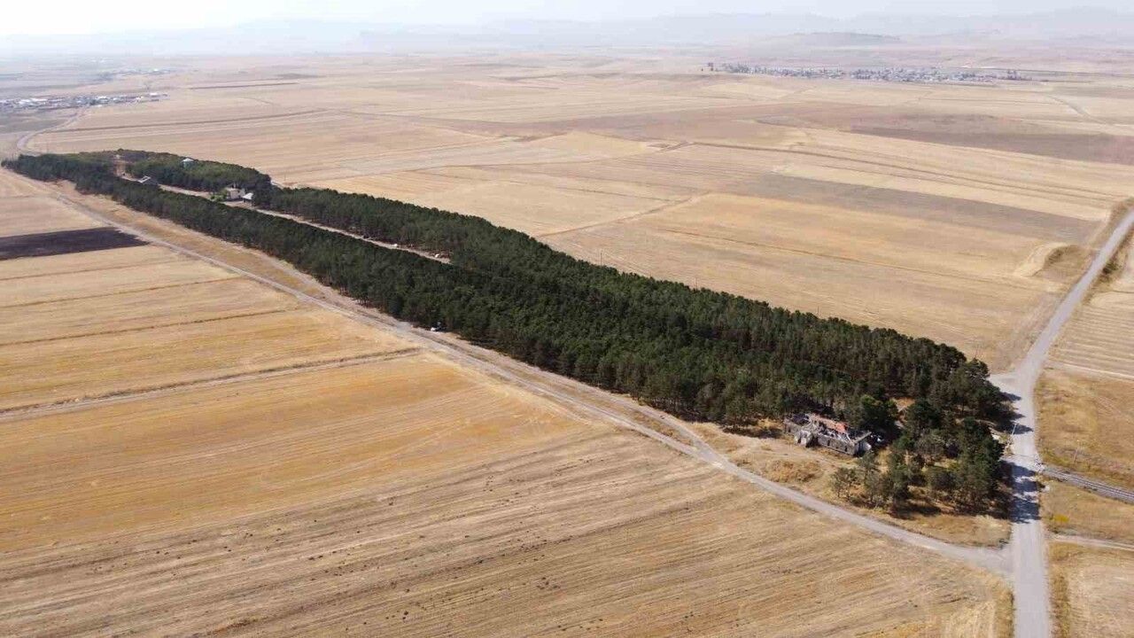 Kars’ta Bozkırın Ortasındaki Vaha: Benliahmet Tren İstasyonu Drone Görüntüleri