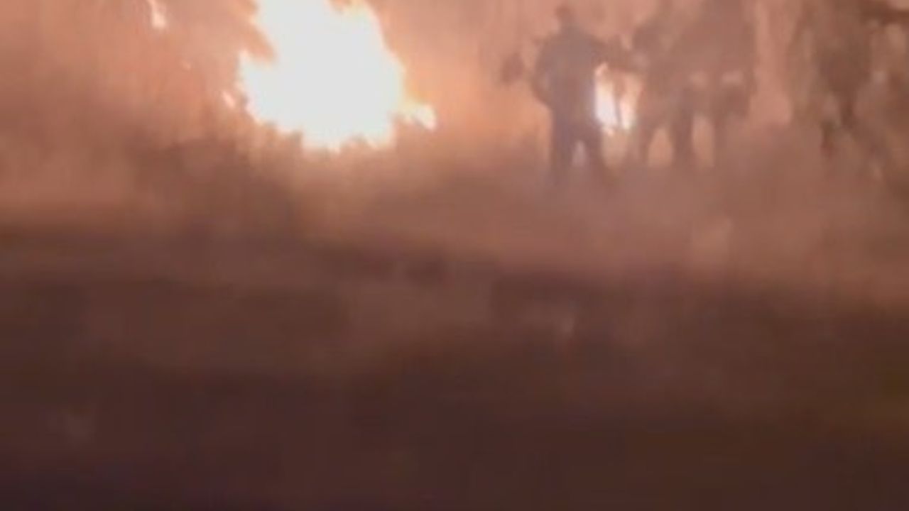 Kars’ta Ermenistan Sınırında Korkutan Örtü Yangını Kontrol Altına Alındı