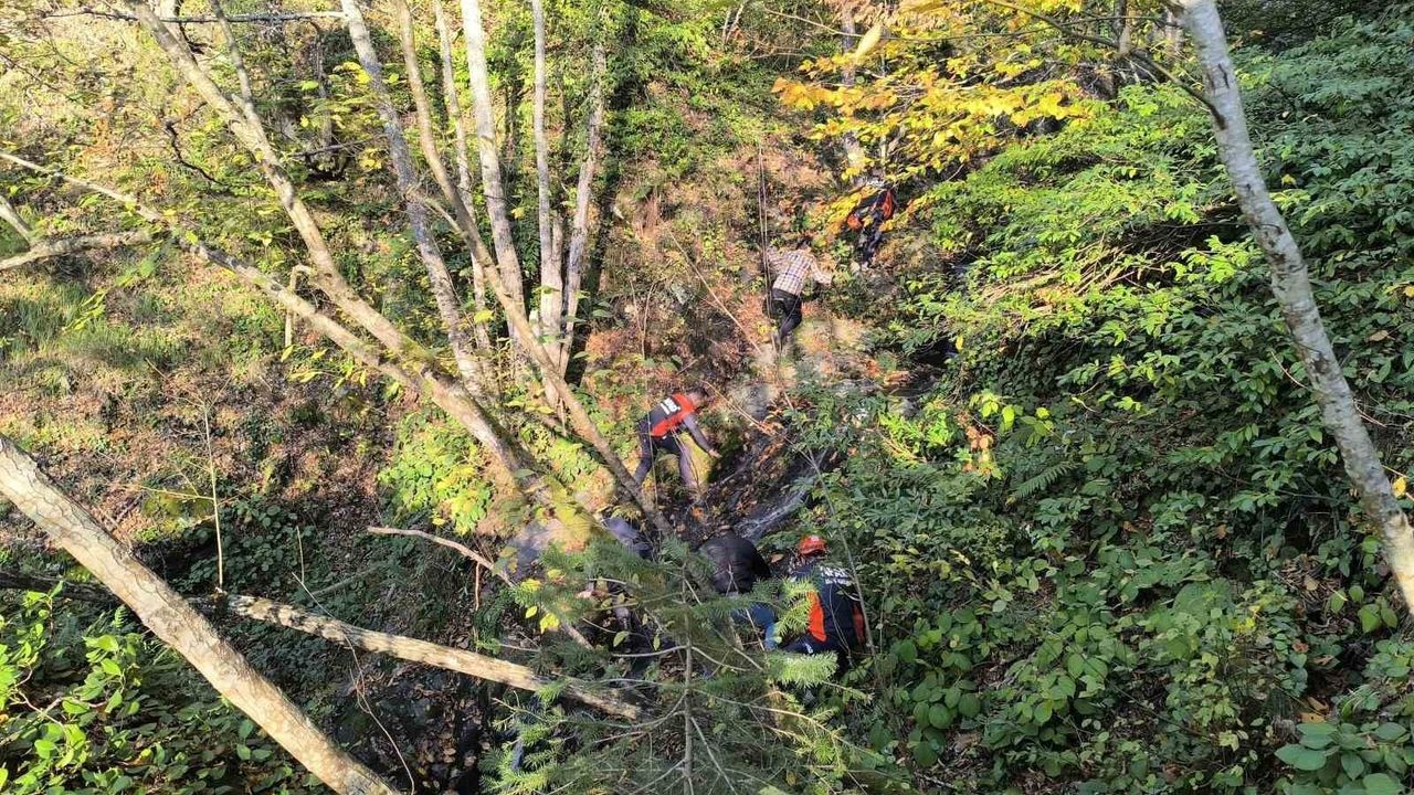 Kastamonu Bozkurt’ta 9 Gün Sonra Anne Cesedi Kuzgunları Takip Eden Vatandaşlar Buldu