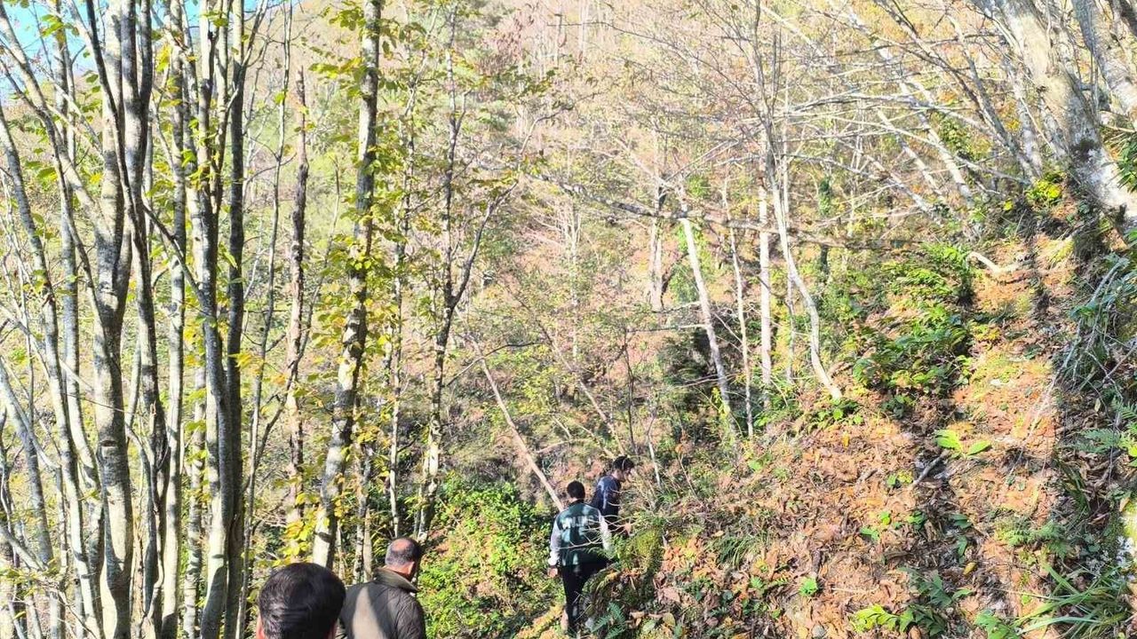 Kastamonu Bozkurt'ta Huriye ve Osman Helvacı Cansız Bulundu