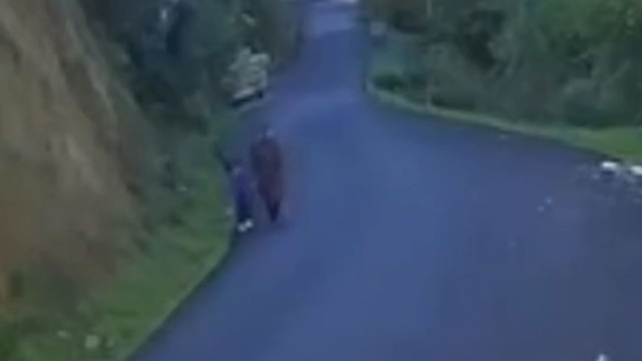 Kastamonu Bozkurt'ta Kayıp Anne ve Oğlunun Yeni Görüntüsü