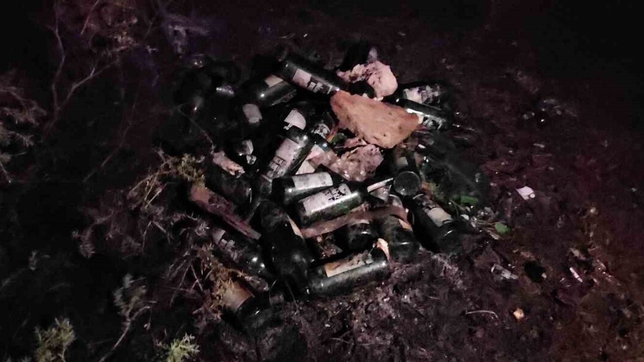 Kastamonu Cide'de Orman Yangını Söndürüldü