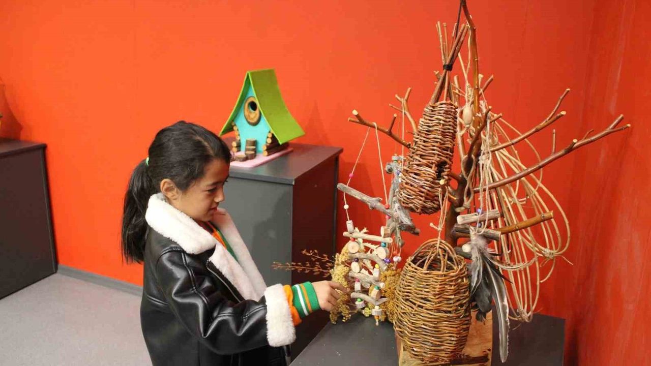 Kayseri'de Abdülkadir Dağlı'nın Ahşaptan Kuş Evleri Sergisi