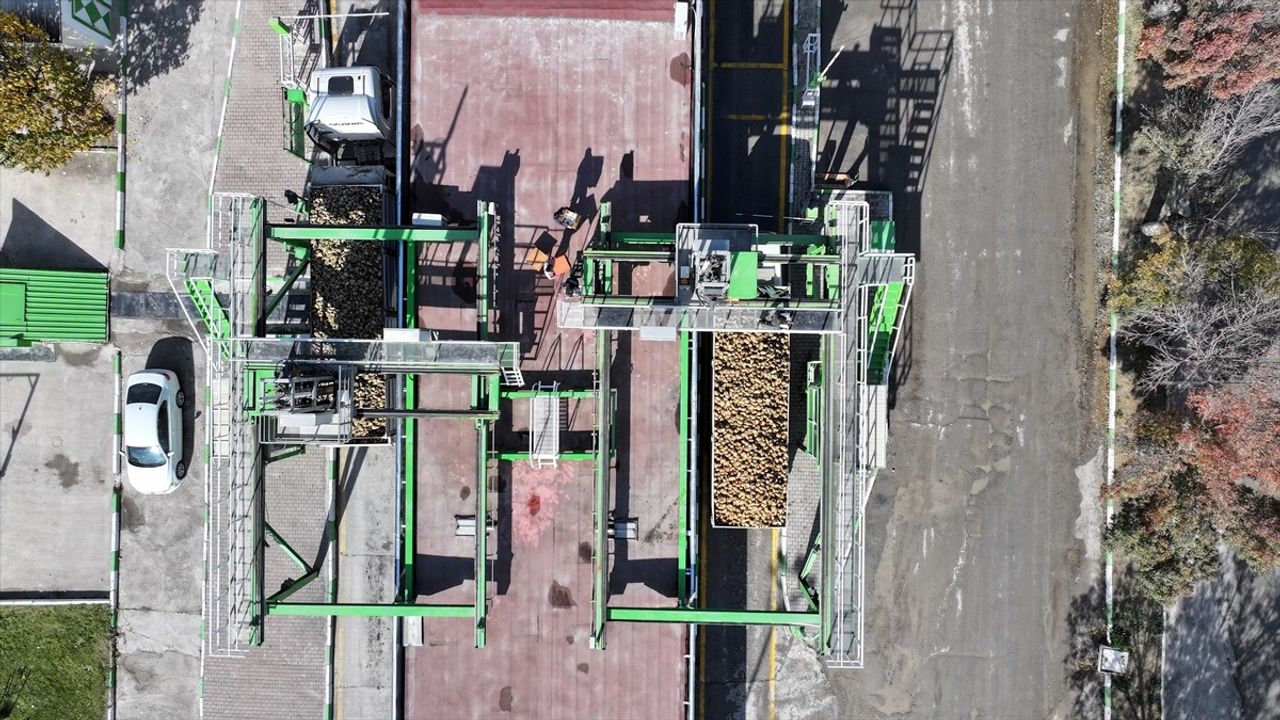 Kayseri Şeker 2025-2026'de 475 bin ton şeker üretimi hedefliyor