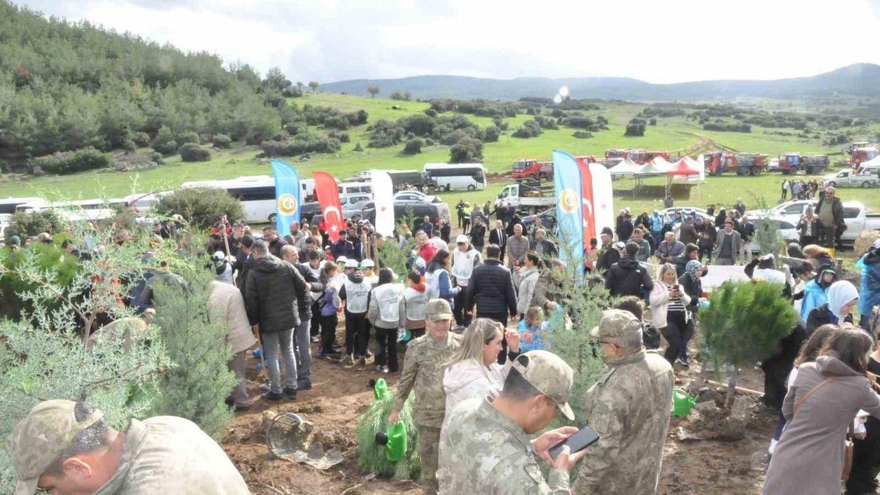 Keşan'da yangın alanına 2 bin çam fidanı dikildi