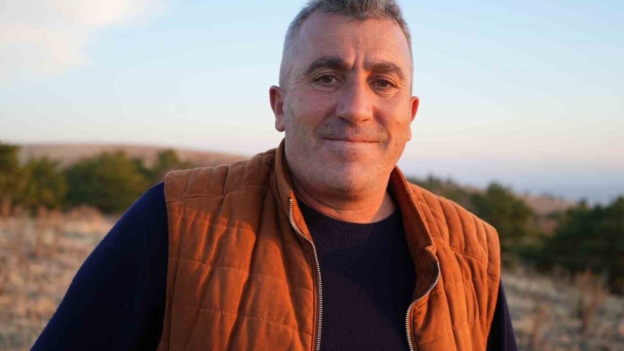 Keskin'de Yüzlerce Ağaç Kesimi Tepki Çekti: '40 Yılda Büyüdü, 4 Günde Yok Edildi'