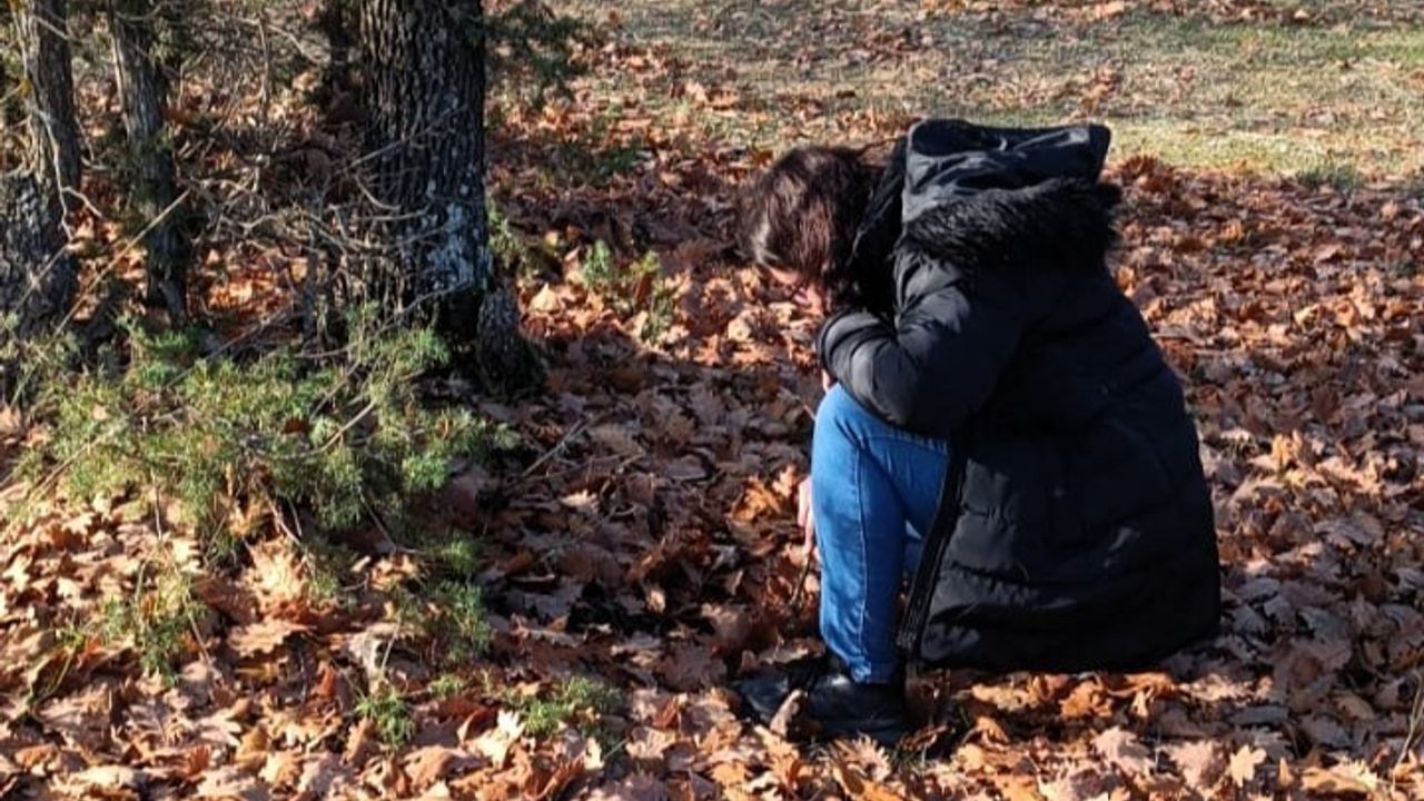 Kırklareli'de Sonbahar-Kışlak Sürveyleriyle Süne Mücadelesi Başladı
