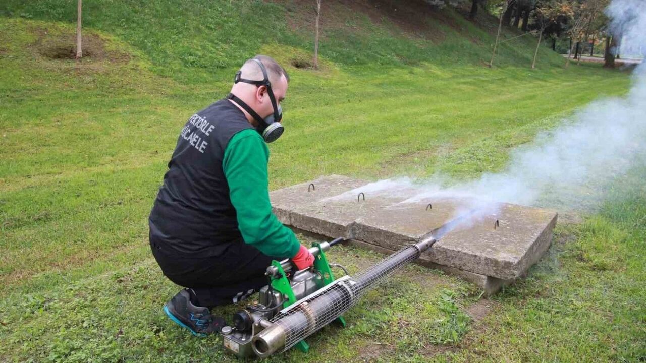 Kocaeli'de Sivrisinek Mücadelesi Kışlık Uygulamaya Taşındı