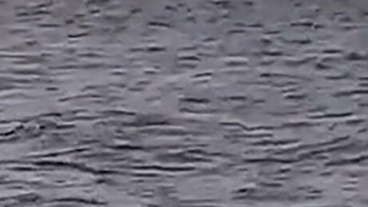 Kocaeli Körfez'de kayık alabora oldu: 1 kurtarıldı, 1 kişi aranıyor