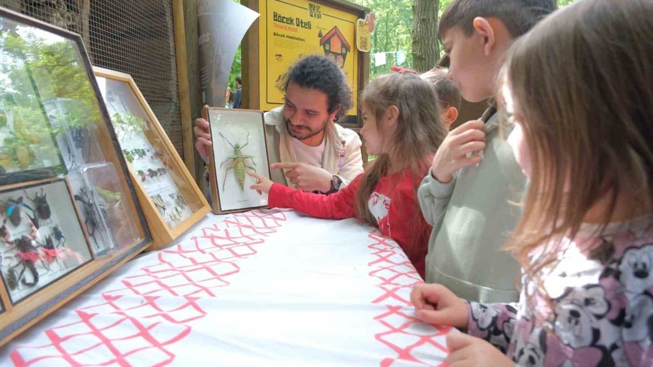 Kocaeli'nin Doğa Turizmi: Ormanya ve Kuzuyayla 2 milyon 280 bin 970 Ziyaretçiyi Ağırladı