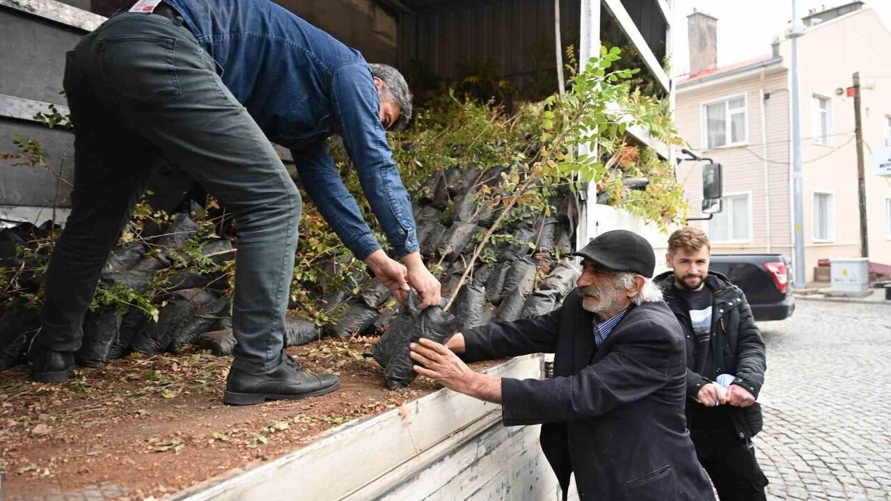 Konya Büyükşehir’den Üreticiye Sumak Fidanı Desteği 2025: 6.370 Fidan