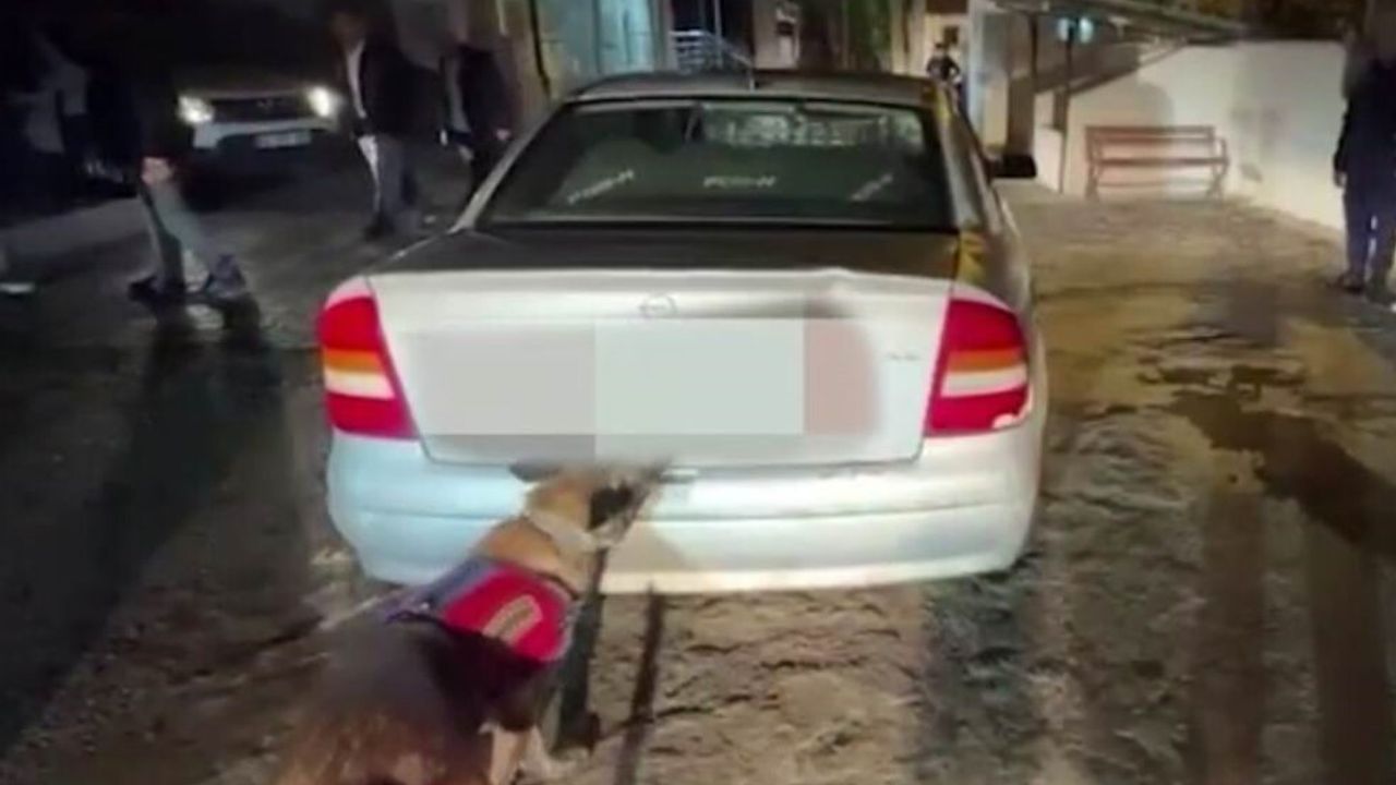 Konya Ereğli'de Jandarma Operasyonu: Bin 915 Sentetik Ecza Hap Ele Geçirildi, 3 Tutuklama