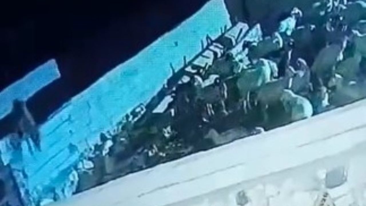 Konya Ereğli'de Kurt Ağıla Girip Koyunu Telef Etti