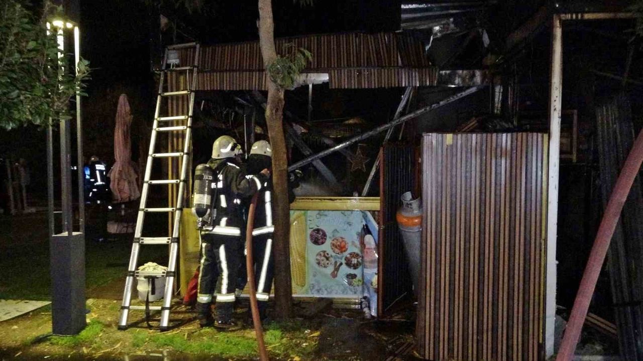 Konyaaltı'nda Kafe Yangını: İşletme Küle Döndü, 5 Yavru Köpek Telef Oldu