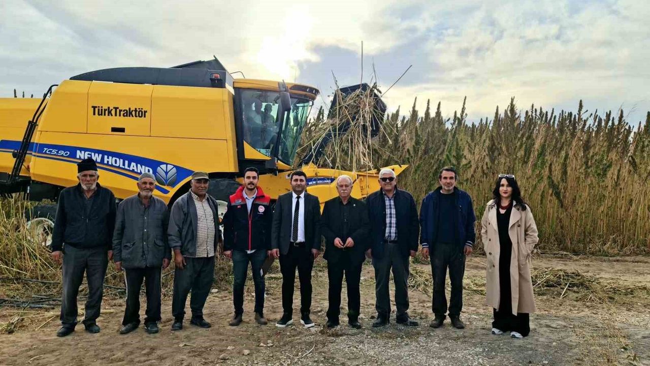 Kulu’da Endüstriyel Kenevir Hasadı Başladı