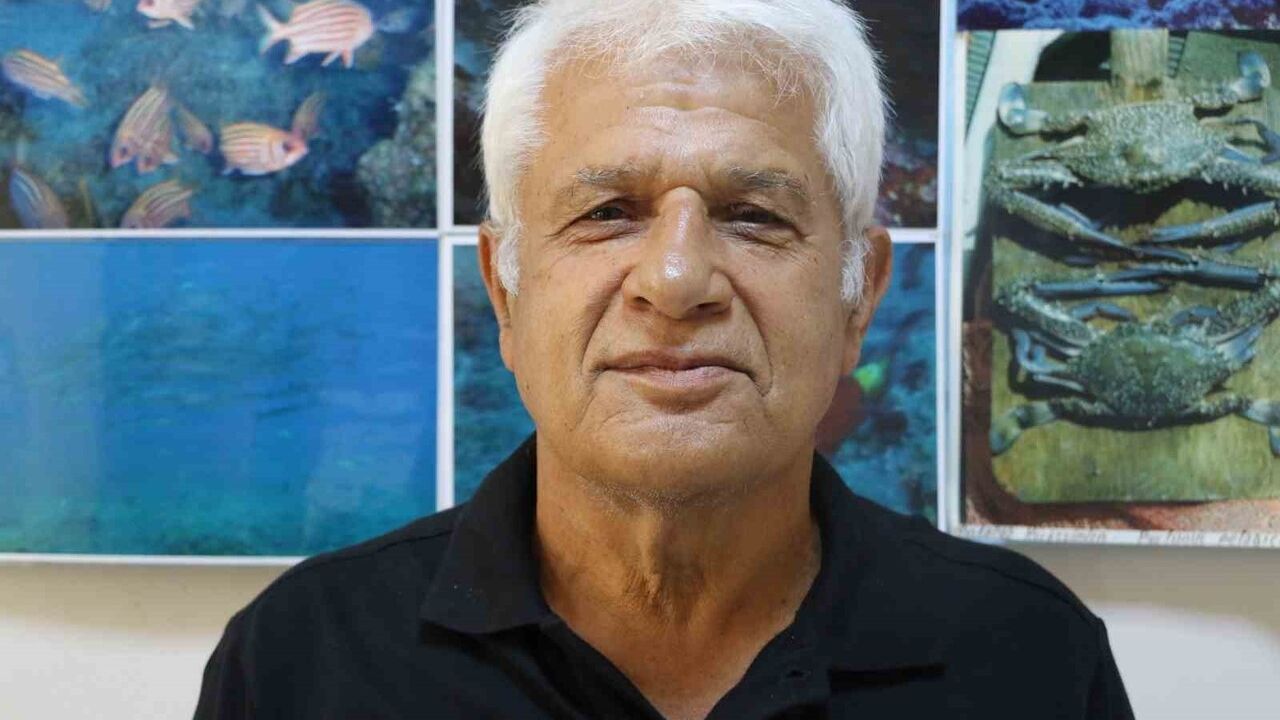 Kumköy'de Amatör Balıkçının Oltasına 1,5 Metrelik Köpek Balığı Takıldı