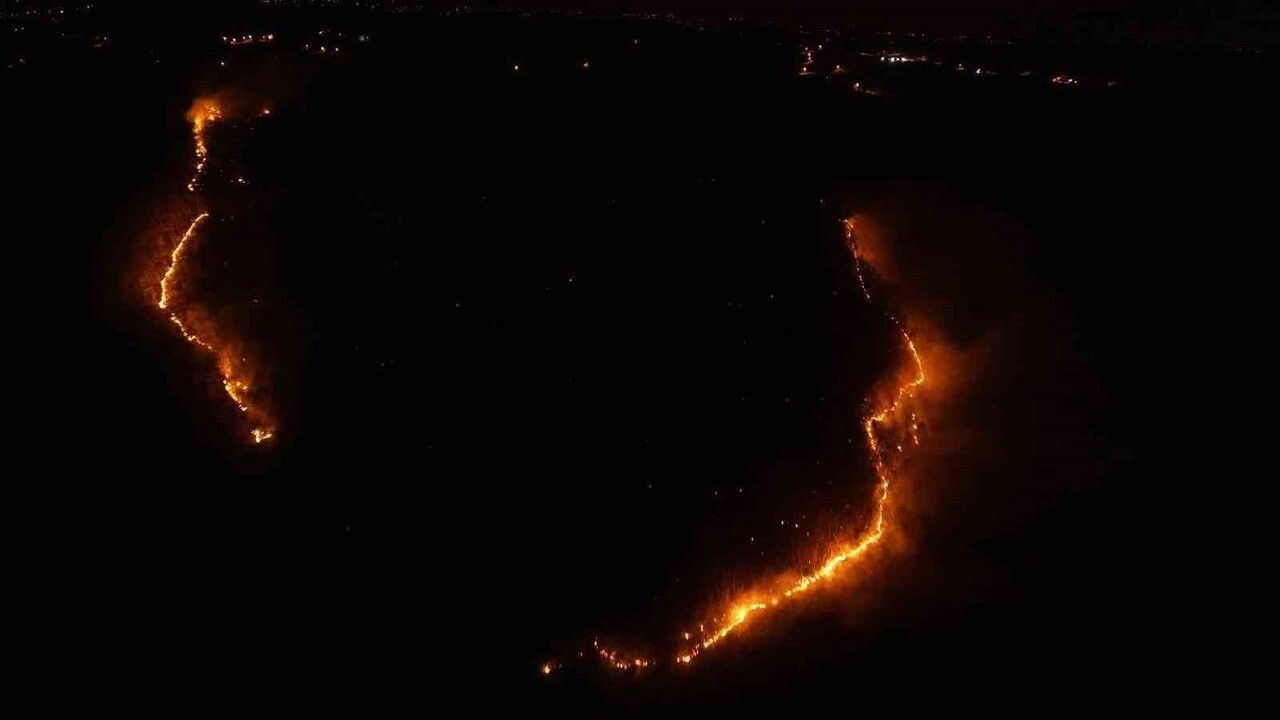 Kumru'da Orman Yangını: 50 Dönüm Etkilendi, Müdahale Sürüyor