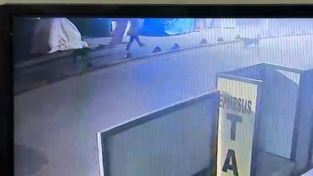 Kuşadası'nda Emekli Astsubay Sokak Köpeğini Vurdu, Serbest Bırakıldı