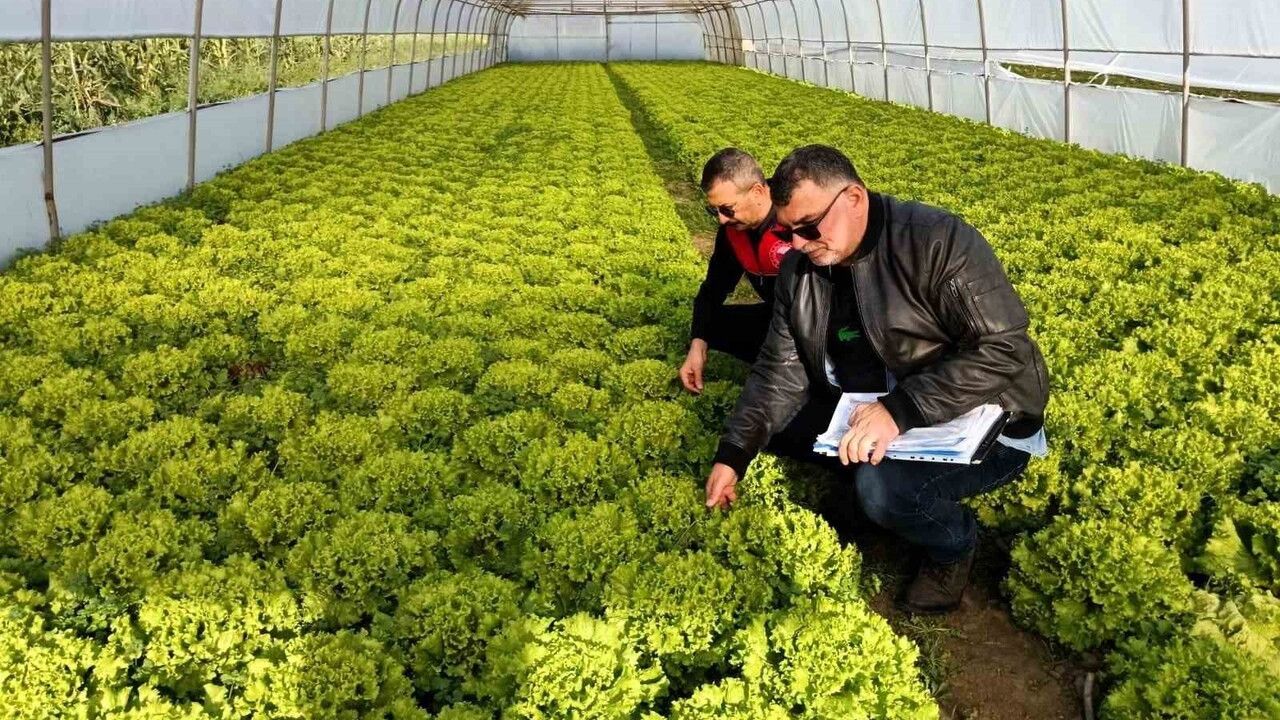 Lüleburgaz'da Sera Denetimleri: Resen Kayıt ve Teknik Kontroller