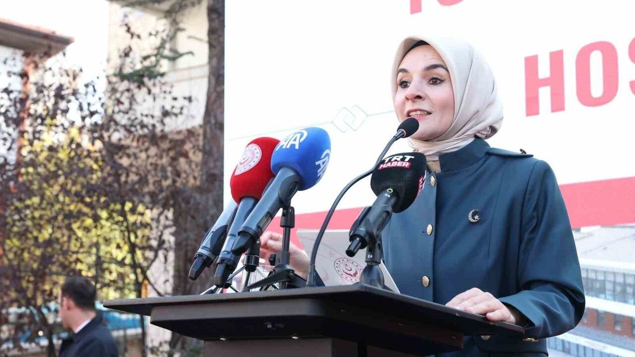 Mahinur Özdemir Göktaş: Nallıhan'a Aile Destek Merkezi, Kütüphane ve Gençlik Merkezi