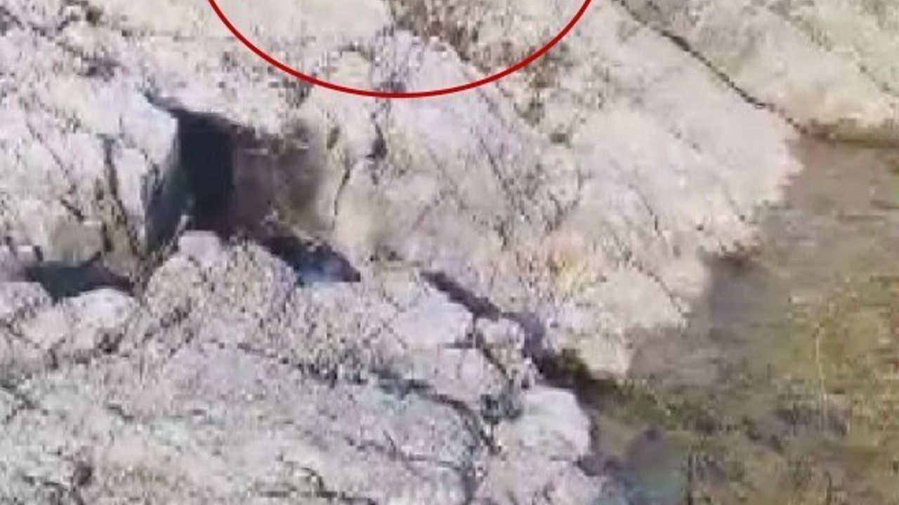 Malatya Arapgir'de Amatör Balıkçı Gölette Yakaladı…