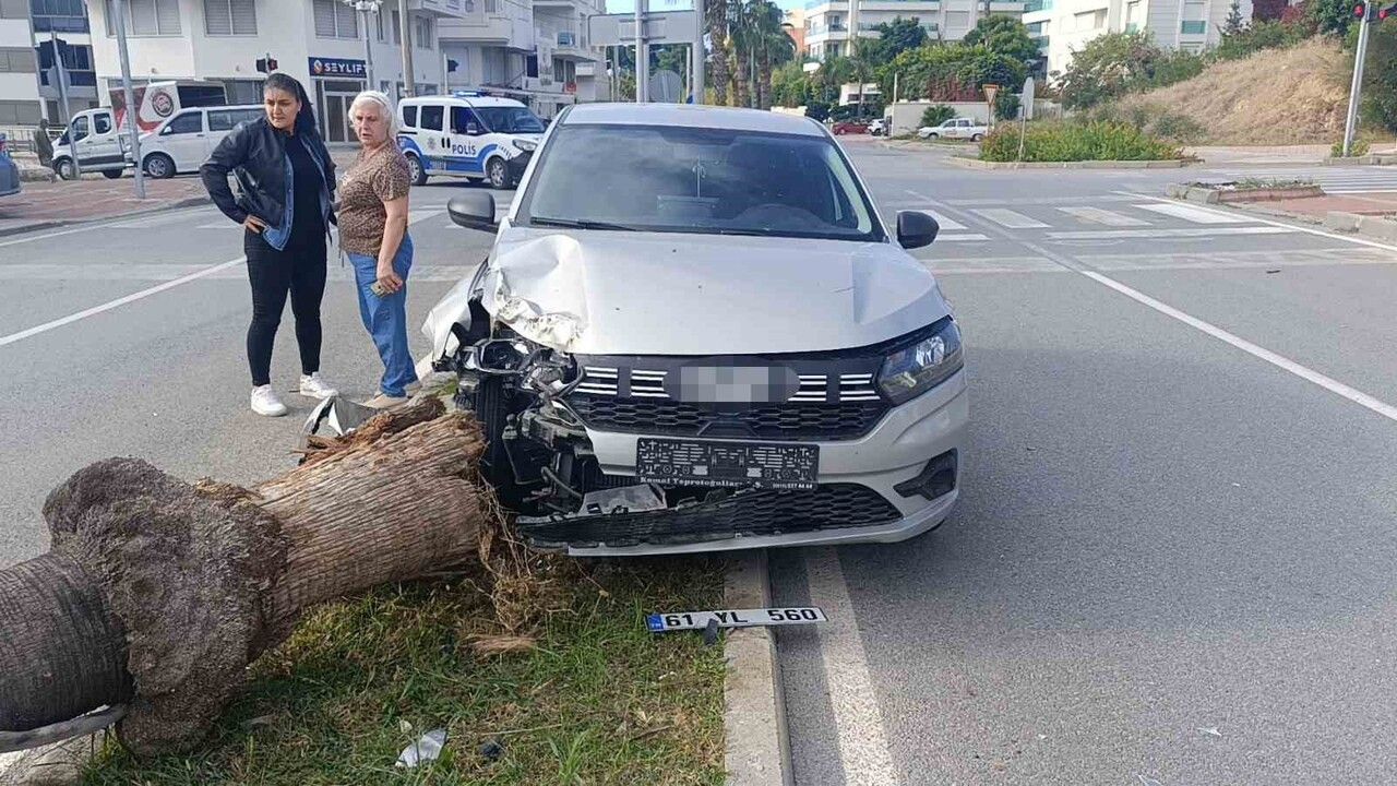 Manavgat'ta direksiyon pratiği kazayla bitti: Refüjdeki palmiyeyi devirdi, anı kamerada