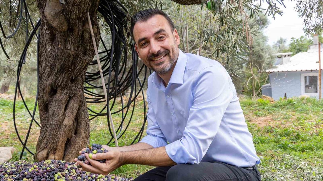 Manavgat Zeytin ve Zeytinyağı Festivali 8-9 Kasım 2025'te Başlıyor