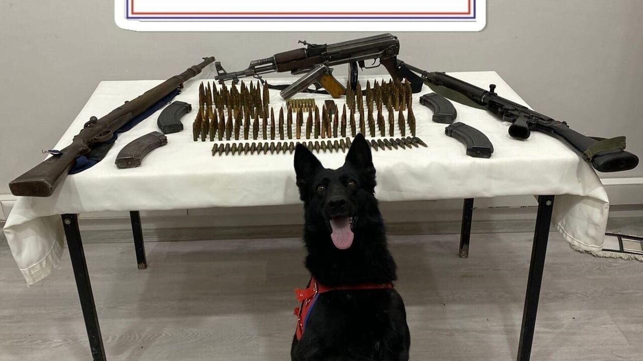 Mardin Derik'te Çok Sayıda Kaçak Silah ve Mühimmat Ele Geçirildi