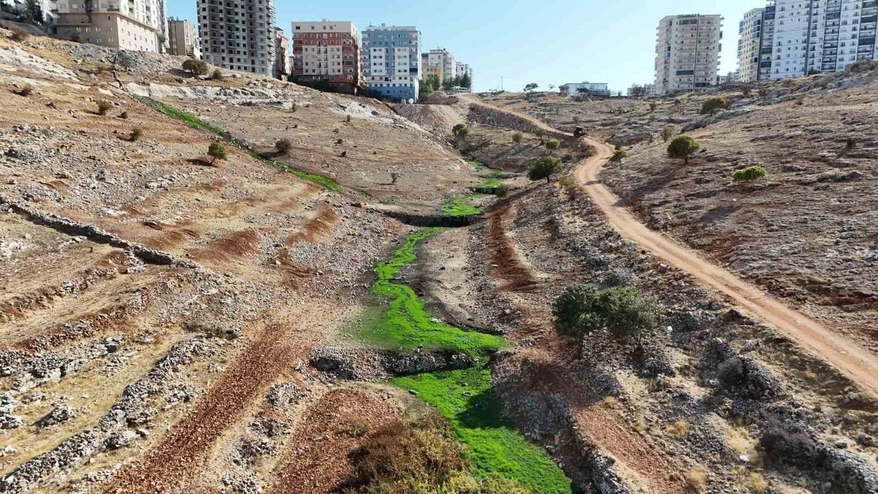 MARSU, Hale Deresi'ndeki Atık Sorununu Atıksu Hattı ile Çözüyor